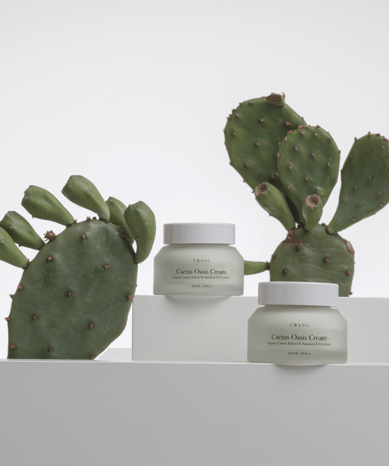 URANG Cactus Oasis Cream 50ml jars displayed with cactus plants for moisturizing skincare.