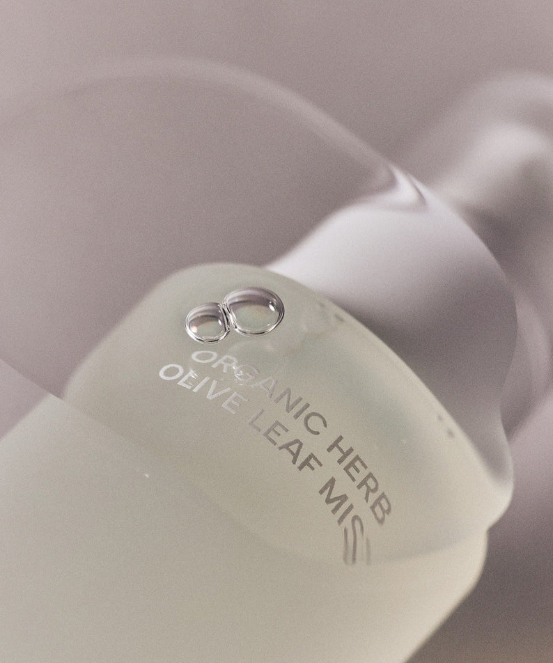 Close-up of WHAMISA Organic Herb Fermented Olive Leaf Mist 100ml bottle with clear spray cap and liquid visible inside.
