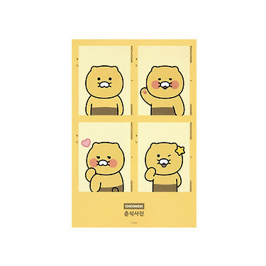 Chunsik Sticker - Official Kakao Friends merchandise | Koolseoul